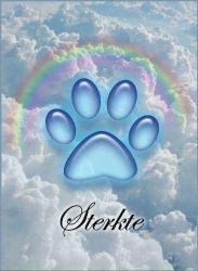 facebook-post-173414869441096_1498950322267665 image facebook-post-173414869441096_1498950322267665 Home - Dier onder Dak Dokkum