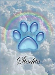 facebook-post-173414869441096_1394878646008167 image facebook-post-173414869441096_1394878646008167 Home - Dier onder Dak Dokkum