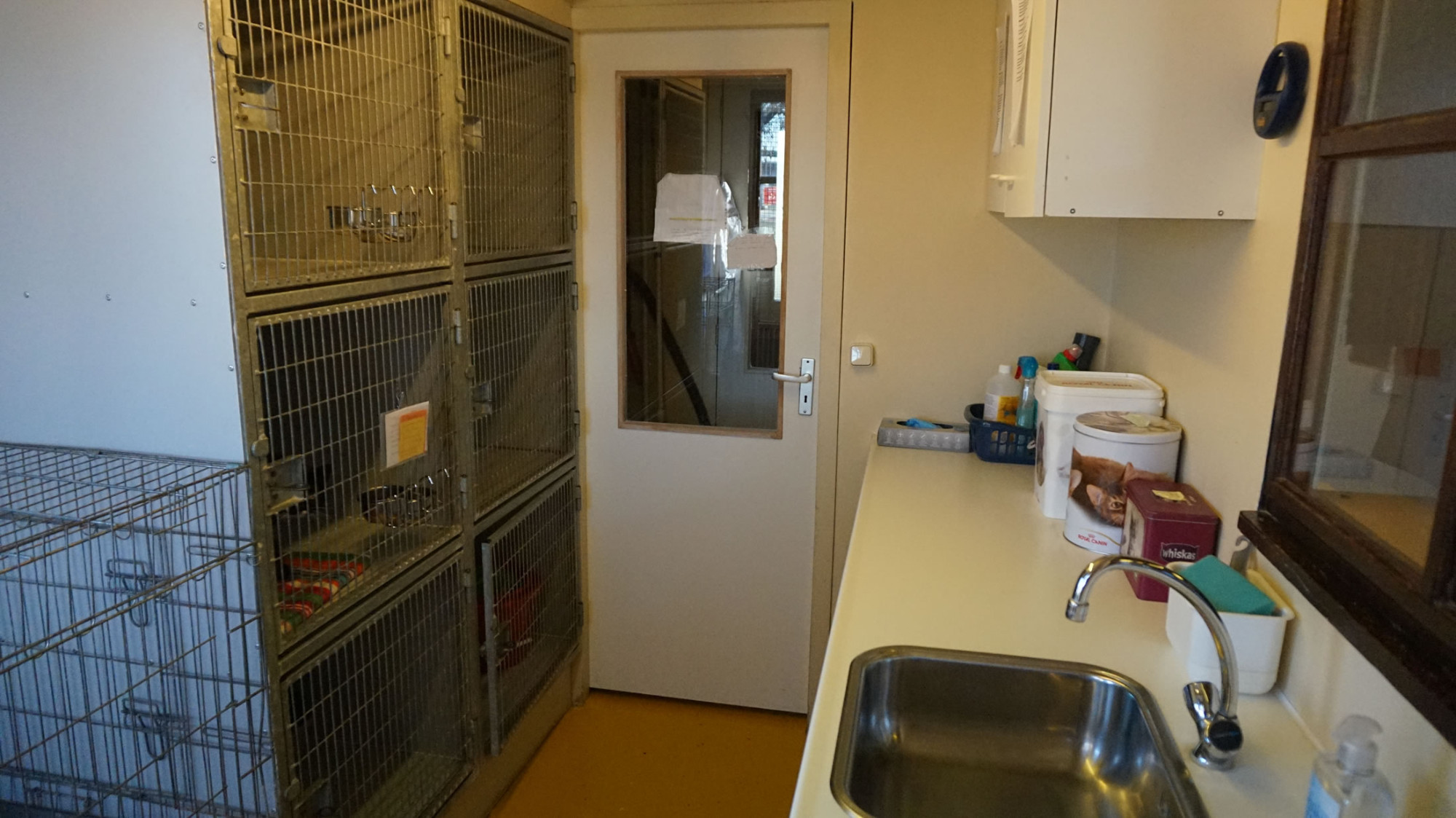 DSC06273-30 Organisatie & Beleid - Dier onder Dak Dokkum