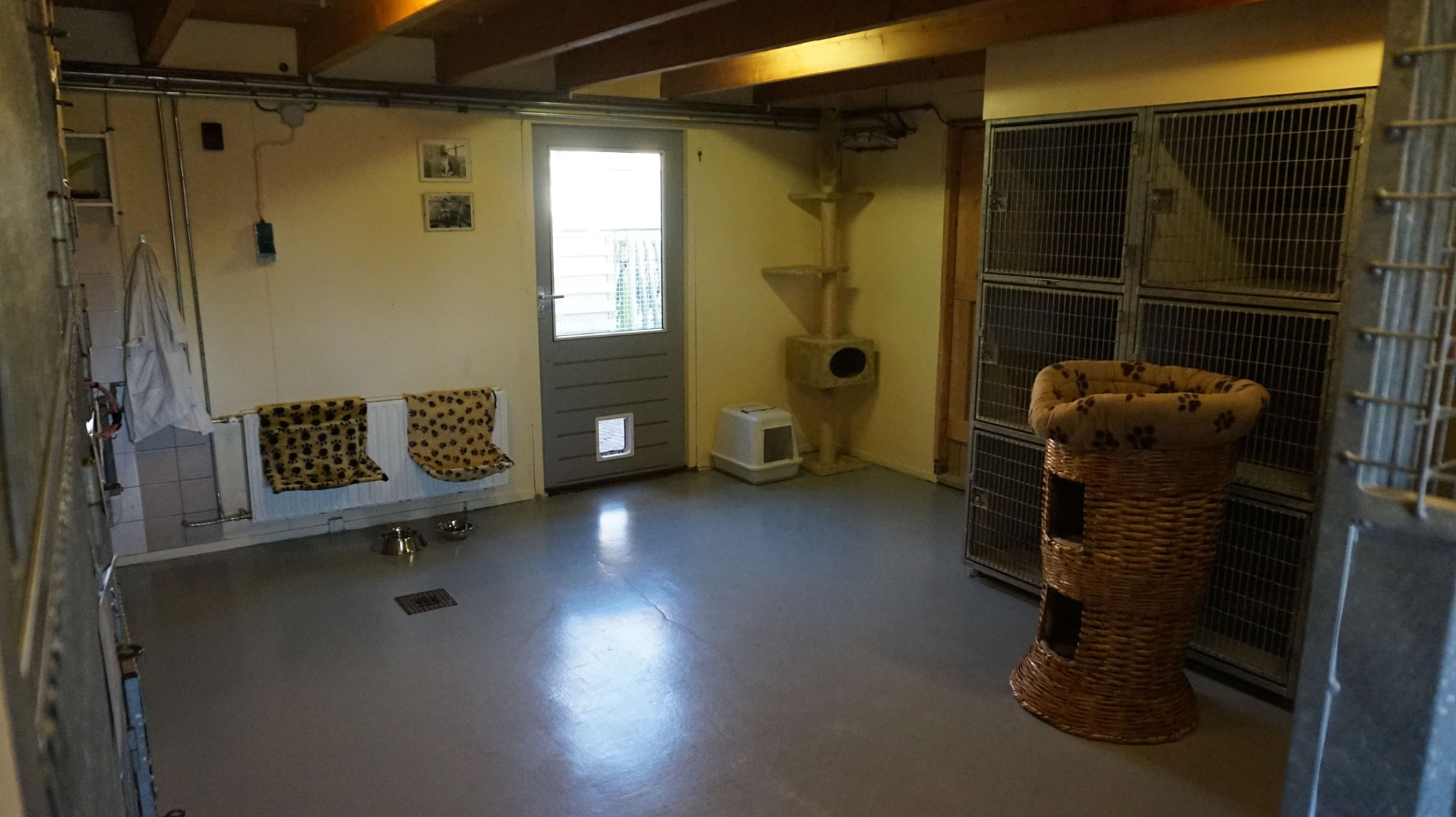 DSC06311-23 Organisatie & Beleid - Dier onder Dak Dokkum