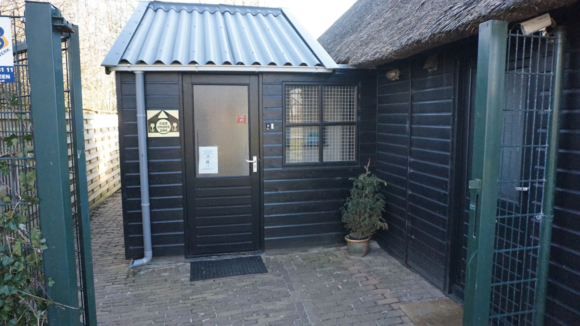 DSC06315-20 Organisatie & Beleid - Dier onder Dak Dokkum