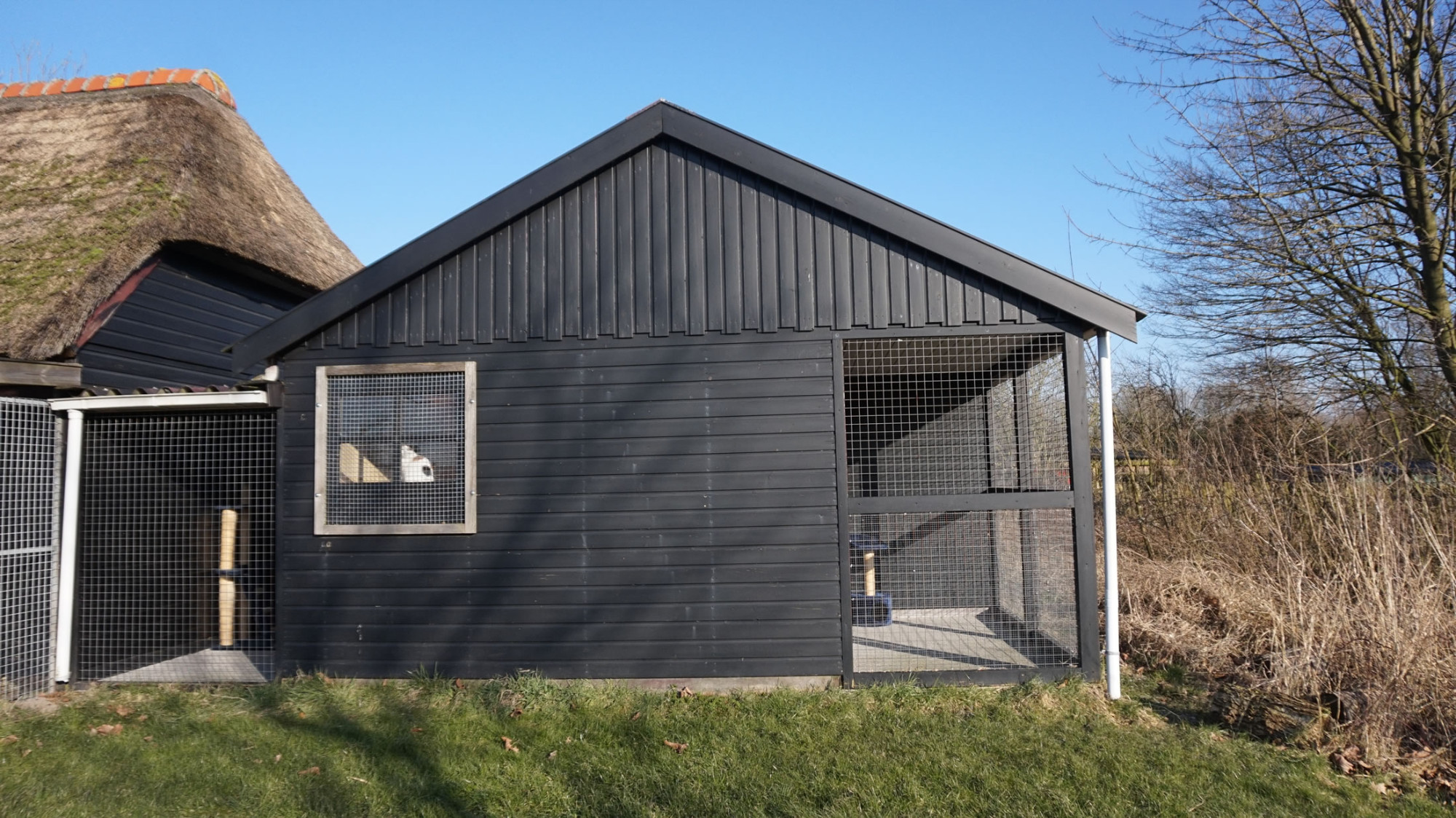 DSC06319-16 Organisatie & Beleid - Dier onder Dak Dokkum